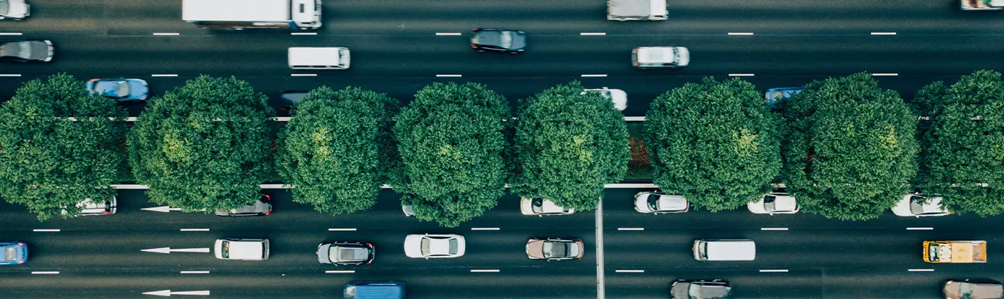 Cross section of roads